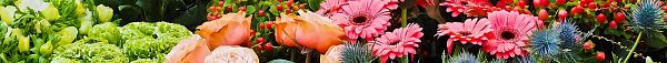 Hoe verzorg ik snijbloemen?-1