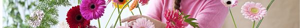 Hoe verzorg ik de gerbera en germini?-1