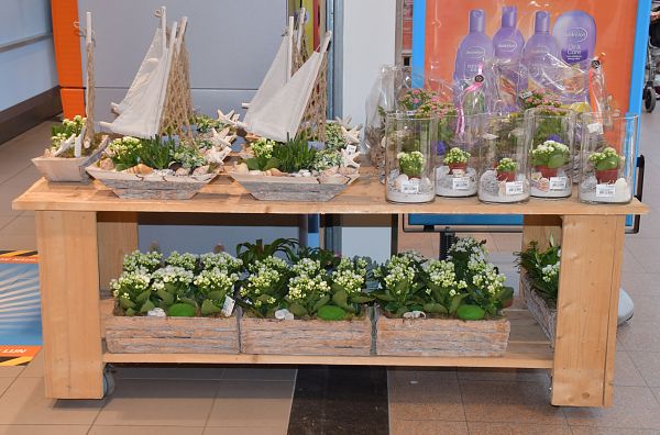 Bloemen meubels voor uw supermarkt bij Broks Bloemen-2