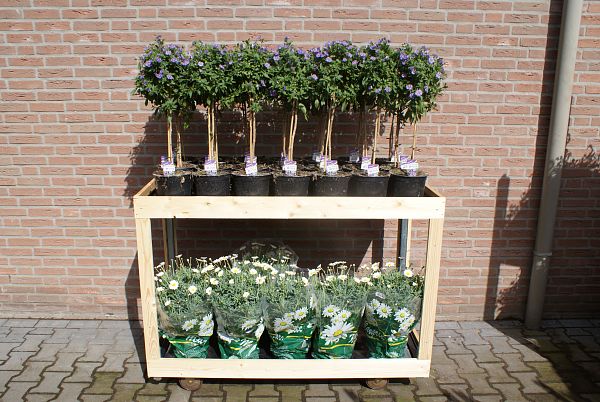 Voordelige bloemen meubels op maat voor uw supermarkt-2