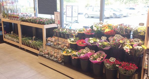 Plantenmeubels-3